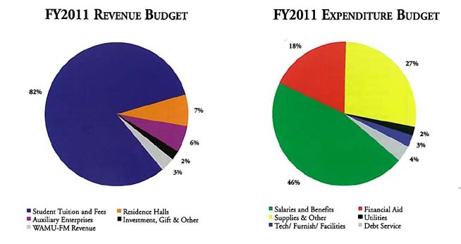 FY2011 Revenue and Expenditure Budget
